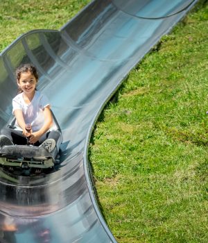 Sommerrodelbahn
